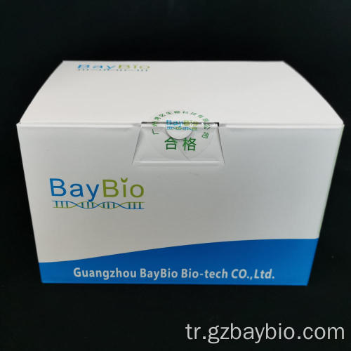 Oral Swab DNA Baypure Manyetik Swab DNA kiti